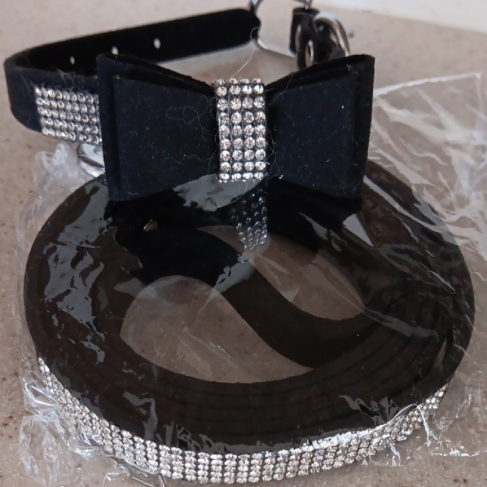 Pet Leash & Collar